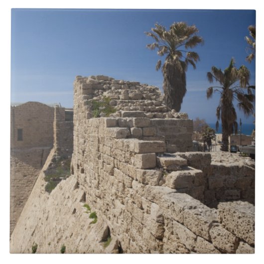 Caesarea ruins of port built by Herod the Great Tegeltje (Voorkant)