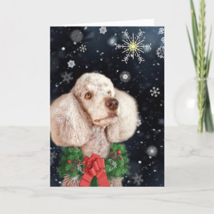 Cafe au Lait Colored Poodle with Snowflakes Feestdagen Kaart