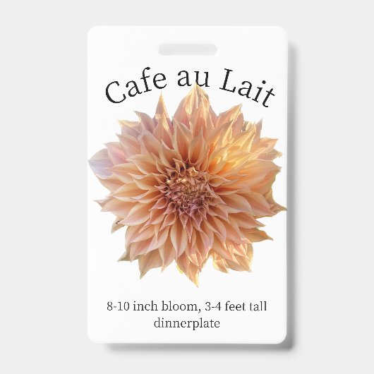 Cafe au Lait Dahlia ID Badge (Voorzijde)