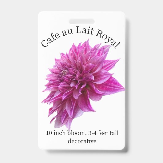 Cafe au Lait Royal Dahlia ID Badge (Voorzijde)