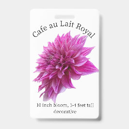 Cafe au Lait Royal Dahlia ID Badge