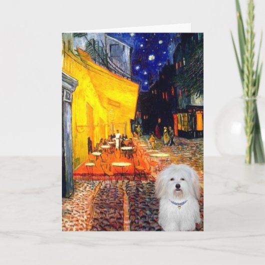 Cafe - Coton de Tulear 4b Kaart (Voorkant)