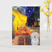 Cafe - Coton de Tulear 4b Kaart (Gele Bloem)