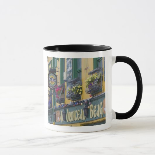 Café, Dingle, Dingle-schiereiland, County Kerry, Mok (Rechts)