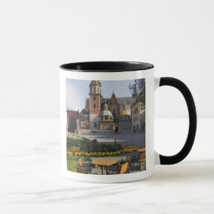 Cafe met uitzicht op Wawelkathedraal, Wawel Hill, Mok