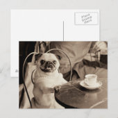 Cafe Pug Briefkaart (Voorkant / Achterkant)