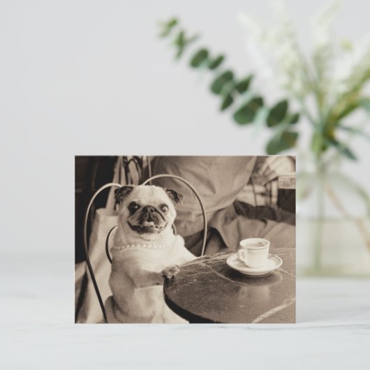 Cafe Pug Briefkaart (Staand voorkant)