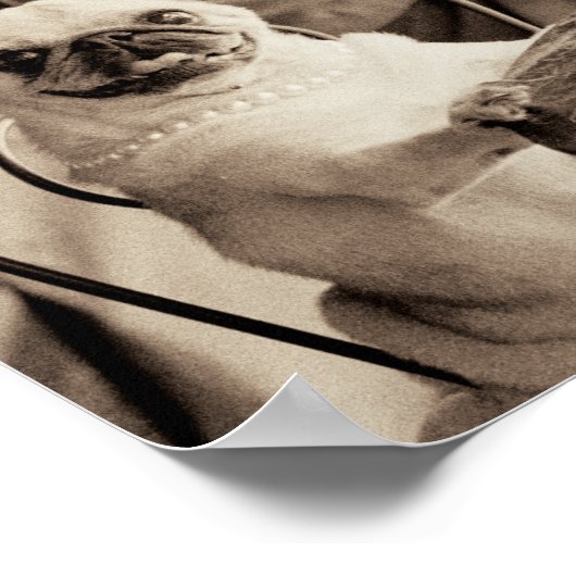Cafe Pug Poster (Hoek)