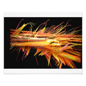 Caffeine Crystals Print Foto Afdruk (Voorkant)