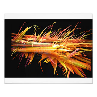 Caffeine Crystals Print Foto Afdruk