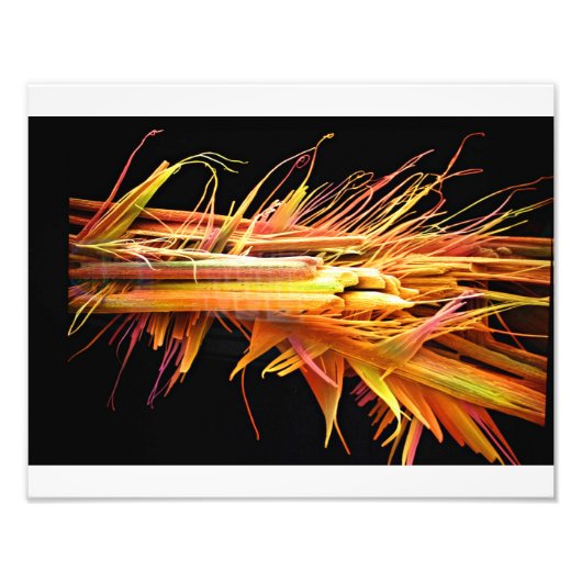 Caffeine Crystals Print Foto Afdruk (Voorkant)