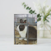 Caged Bunny Briefkaart (Staand voorkant)