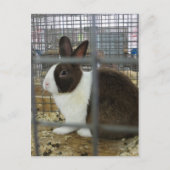 Caged Bunny Briefkaart (Voorkant)