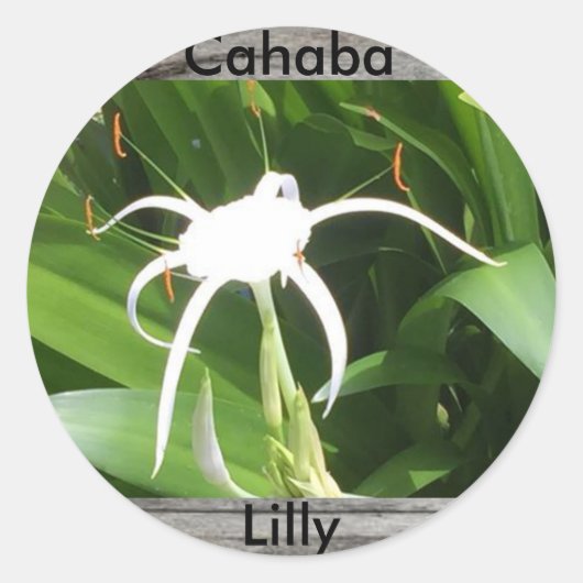 Cahaba lilly bloei sticker (Voorkant)