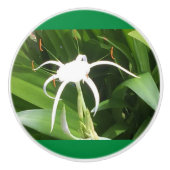 Cahaba Lilly Bloom over keramische knobbels en pul Keramische Knop (Voorkant)