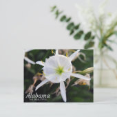 Cahaba Lily Briefkaart (Staand voorkant)