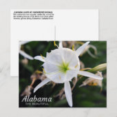 Cahaba Lily Briefkaart (Voorkant / Achterkant)