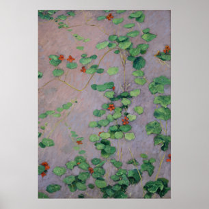 Caillebotte - Oostindische kers Poster