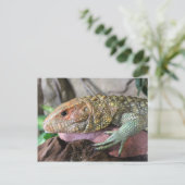 Caiman Lizard # 1 Briefkaart (Staand voorkant)