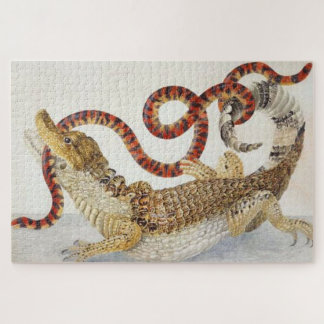 Caimans die een oranje en zwarte slang eten legpuzzel