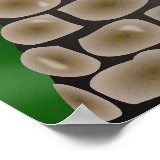 cain-en-abel poster (Hoek)