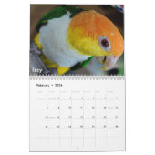 Caique Crazy 2011 Agenda Kalender (Feb 2026)