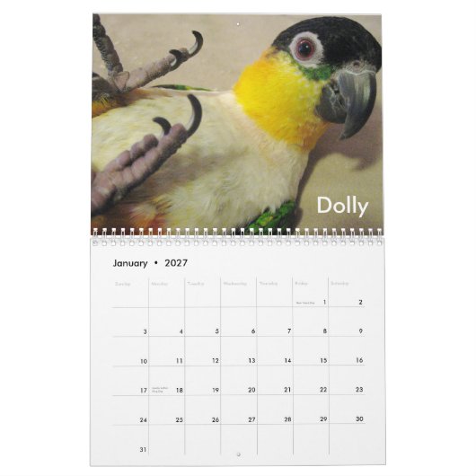 Caique Crazy 2011 Agenda Kalender (Jan 2027)