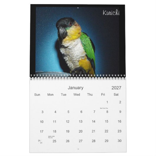 Caique Crazy 2012 Agenda Kalender (Jan 2027)