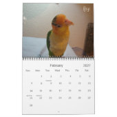 Caique Crazy 2012 Agenda Kalender (Feb 2027)