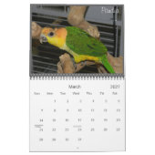Caique Crazy 2012 Agenda Kalender (Mar 2027)