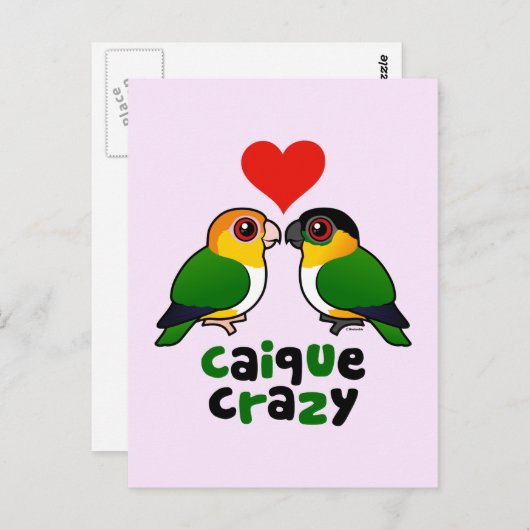 Caique Crazy Briefkaart (Voorkant / Achterkant)
