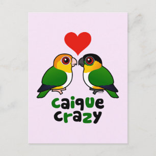 Caique Crazy Briefkaart