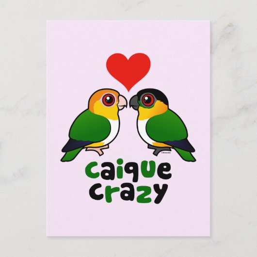 Caique Crazy Briefkaart (Voorkant)