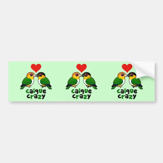 Caique Crazy Bumpersticker (Voorkant)