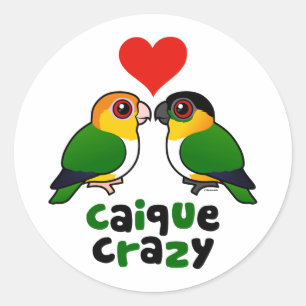 Caique Crazy Ronde Sticker