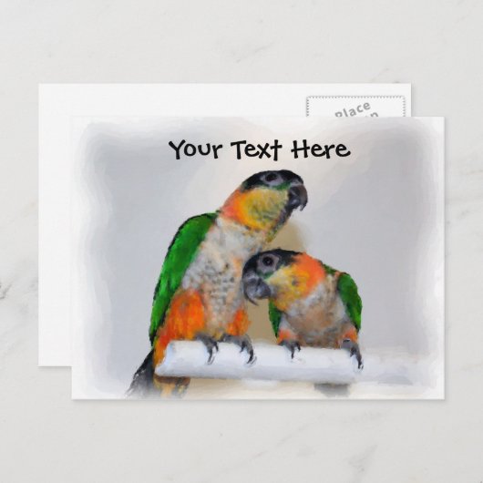 Caique het Klantgerichte Briefkaart van het Paar (Voorkant / Achterkant)