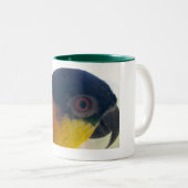 Caïque Mok (Voorkant rechts)