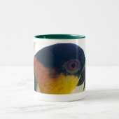 Caïque Mok (Center)