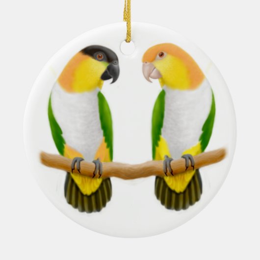Caique Parrot Love Ornament (Achterkant)