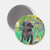 Cairn (Brindle 17) - Irissen Magneet (Voorkant / Achterkant)