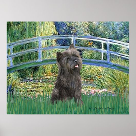 Cairn (Brindle 21) - Lily Pond Brug Poster (Voorkant)