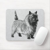 cairn doodsbang muismat (Met muis)
