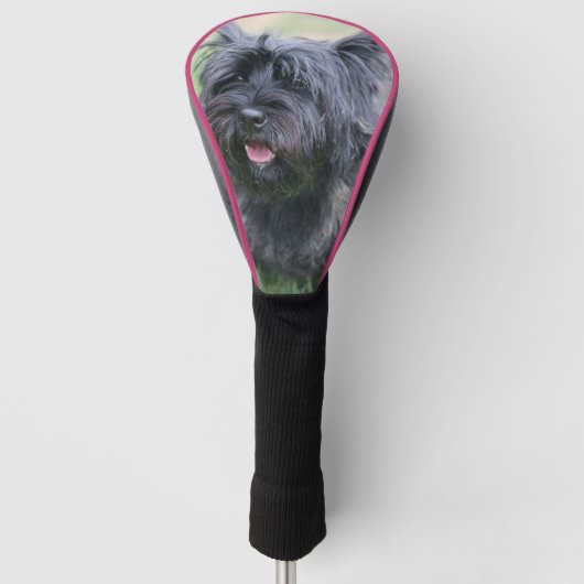 Cairn golfheadcover (Voorkant)