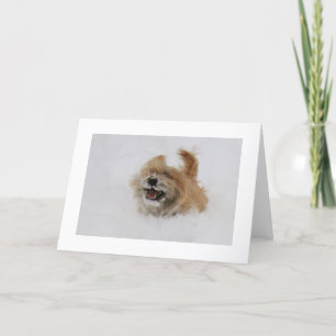 Cairn Pounce Feestdagen Kaart