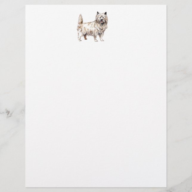Cairn Terrier (Voorkant)