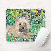 Cairn Terrier 4 - Irissen Muismat (Met muis)