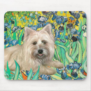 Cairn Terrier 4 - Irissen Muismat