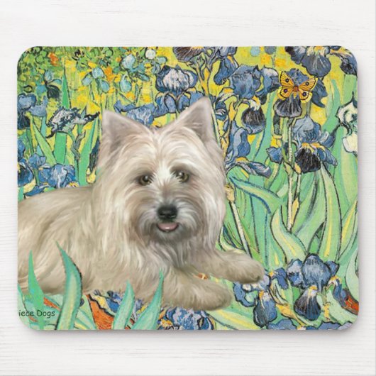 Cairn Terrier 4 - Irissen Muismat (Voorkant)
