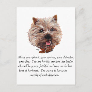 Cairn Terrier Aandenken - VROUWELIJK Briefkaart