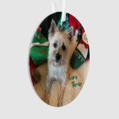 Cairn Terrier Acrylornament Ornament (voorkant)